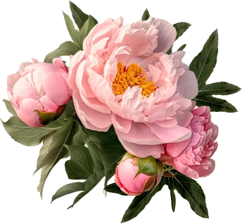 Flower Decoration